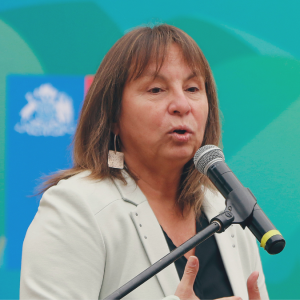 Las gestiones del Minsal para buscar la salida de Jeanette Vega del Hospital de San Antonio