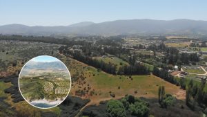 Tras aprobación de Maratué: la última carta de los defensores ambientales para frenar el proyecto inmobiliario en Puchuncaví