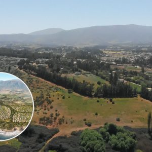 Tras aprobación de Maratué: la última carta de los defensores ambientales para frenar el proyecto inmobiliario