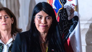 Amenazas e insultos racistas: revelan nuevos detalles de la agresión a la ministra Lincolao