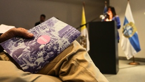 Gobierno universitario