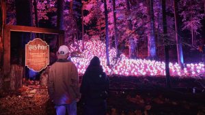 Harry Potter, El Bosque Prohibido: cuándo, dónde y cómo comprar entradas para esta experiencia inmersiva