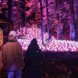 Harry Potter, El Bosque Prohibido: cuándo, dónde y cómo comprar entradas para esta experiencia inmersiva