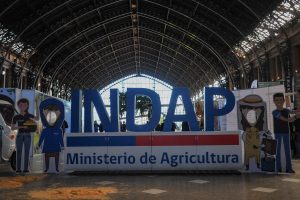 Dueños de autos de lujo y narcotráfico: Indap entregó beneficios a personas sin cumplir requisitos