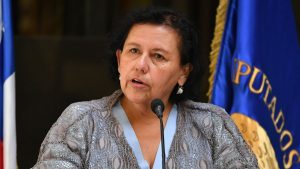 Violento portonazo contra diputada Lorena Pizarro termina con dos menores detenidos en Macul