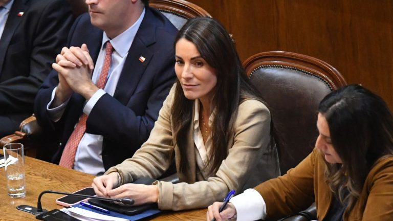 Gobierno acelera cambios al SAE: proyecto se presentará antes de julio