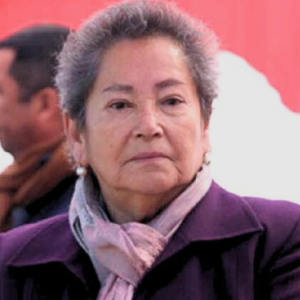 El hallazgo que abre una nueva arista en el caso de la concejala desaparecida en Villa Alegre