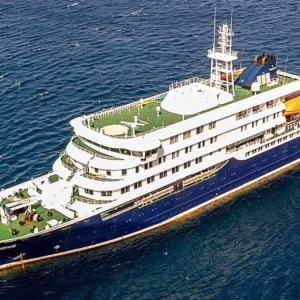 Los argumentos de la OMS para descartar riesgo de contagio tras la muerte por virus hanta de tres pasajeros de un crucero