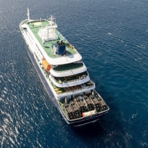Mortalidad llega al 40%: OMS confirmó que cepa del virus hanta detectado en el crucero se transmite entre personas