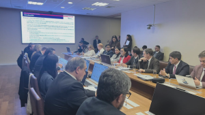 CFA enumera riesgos fiscales de megarreforma y revela que déficit de arcas públicas se extendería más allá de 2031
