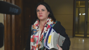 Agresión a Lincolao: la razón de la Justicia para rechazar la querella por Ley de Seguridad del Estado presentada por Steinert