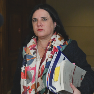 Agresión a Lincolao: la razón de la Justicia para rechazar la querella por Ley de Seguridad del Estado presentada por Steinert