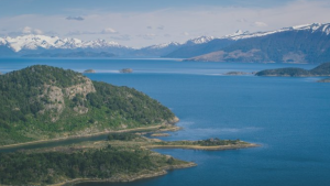 Desde Cabo de Hornos: instan a convertir a Chile en plataforma global para estudio de biósfera