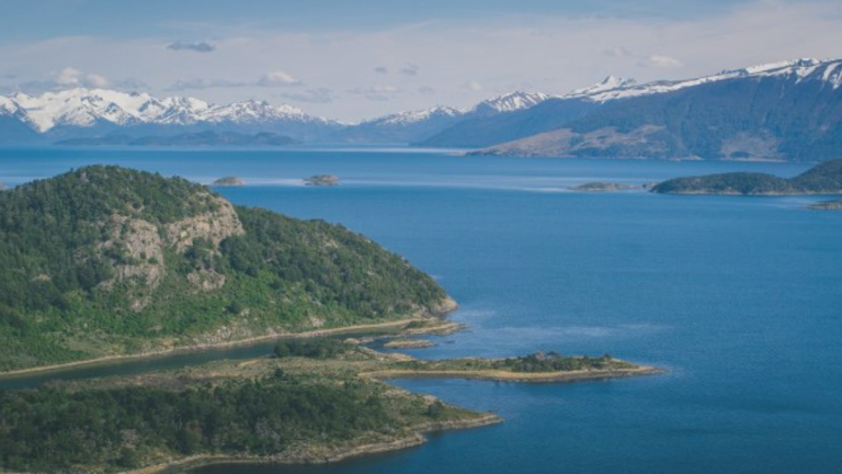 Desde Cabo de Hornos: instan a convertir a Chile en plataforma global para estudio de biósfera
