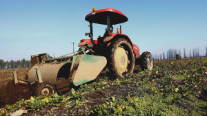 Gobierno se reúne con agricultores y ratifica decisión de Iansa por remolacha: 