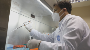 Vacuna chilena contra hantavirus busca financiamiento y avanzar en estudios con humanos