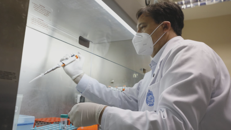 Vacuna chilena contra hantavirus busca financiamiento y avanzar en estudios con humanos