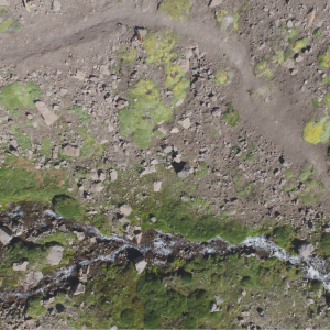 Imágenes satelitales, drones y cámaras espectrales ayudarán a la PDI a perseguir 30 delitos ambientales