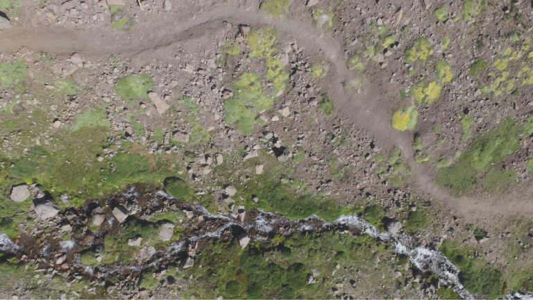 Imágenes satelitales, drones y cámaras espectrales ayudarán a la PDI a perseguir 30 delitos ambientales