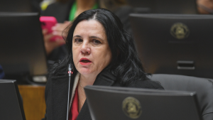 PDG y oposición anuncian interpelación a Trinidad Steinert: 
