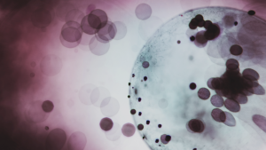 Investigadores chilenos identifican cómo anticuerpos del lupus dañan la memoria