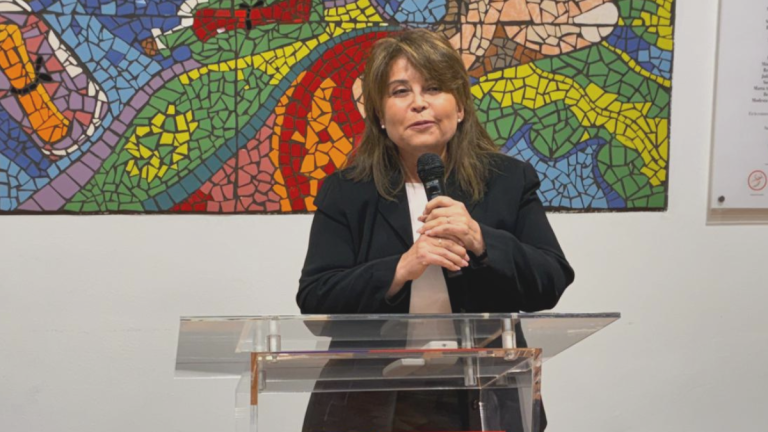 El historial de nueva directora de Prodemu: trató de 