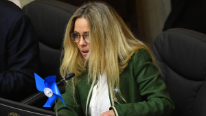 Cárcel y multas: las sanciones que establece el proyecto contra denuncias falsas
