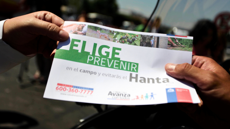 Qué tanta preocupación debería despertar el virus hanta: cómo se producen los contagios entre las personas