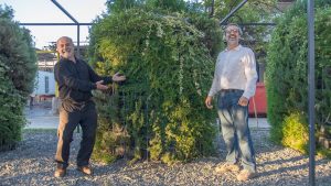 El biofiltro chileno que usa plantas para reducir la contaminación de las estufas a leña y que hoy compite en Europa