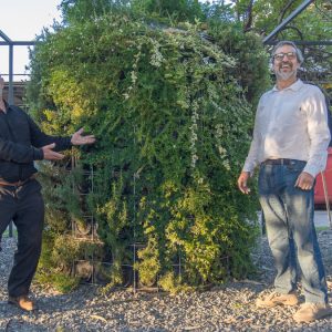 El biofiltro chileno que usa plantas para reducir la contaminación de las estufas a leña y que hoy compite en Europa