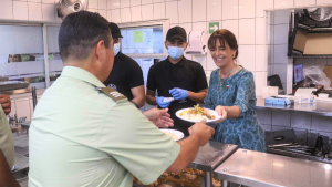 Derrota para Manouchehri: por qué descartaron irregularidades en entrega de almuerzos de Pía Adriasola