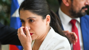 Diputada Veloso (FA) llamó a 