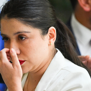 Diputada Veloso llamó a 