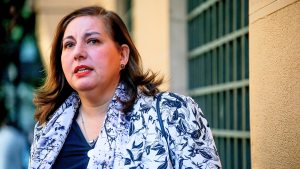 PS sentenció la megarreforma en el Senado: en la oposición 
