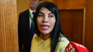 Ximena Lincolao y polémicas en Ministerio de Ciencias: 
