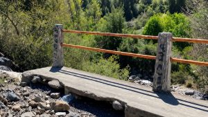 Contraloría pone bajo la lupa fiscalización de puentes: 85% no cumple con los plazos de inspección