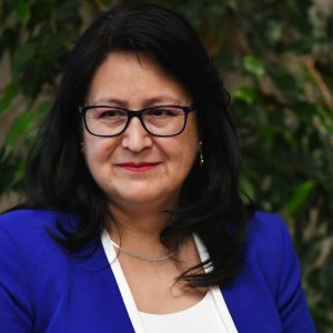 Dorothy Pérez niega vínculos con Hermosilla tras presuntas gestiones de abogado en su favor: 