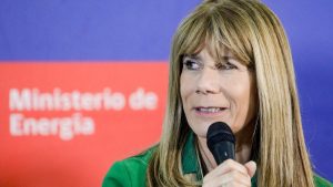 “Ordenemos las cuentas”: el proyecto del Gobierno que busca estabilizar tarifas y reforzar subsidios eléctricos