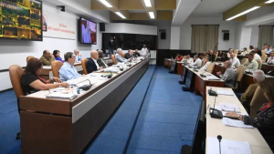Díaz-Canel convocó al Comité Central del PC cubano para evaluar sus reformas económicas