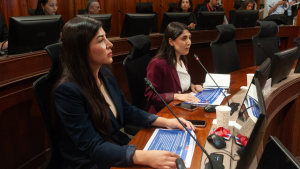 Las alertas que encendió en el oficialismo la remoción de Castro de la Subsecretaría de la Mujer y la señal de Kast al mantener el cargo para RN
