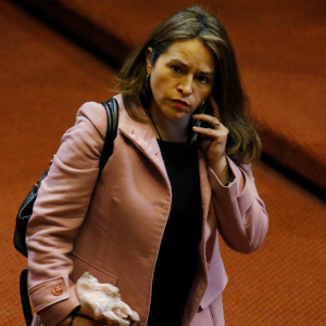 Joanna Pérez tras remoción de Jouannet: “Sería muy riesgoso que haya una ocupación del Ministerio de Seguridad por un solo partido”
