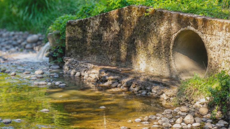 Los Lagos: Contraloría detecta vertimiento de aguas servidas al río Palena