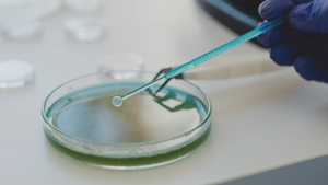 Biotecnología: la pieza que Chile necesita para dejar de importar futuro