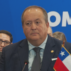 Fiscal nacional se mostró a favor de levantar secreto bancario e incluir la colusión en Registro de Vándalos