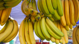 Por qué el rey del plátano, acusado por un fraude de $2.700 millones, terminará pagando una multa de solo $104 millones (y en cuotas)