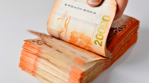 ¿Se necesita postular?: cuándo se podría acceder al bono de $30 mil por hijo y los detalles del beneficio