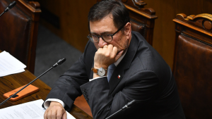 La primera prueba de fuego de Pérez Mackenna: aranceles, ministros díscolos y un embajador incómodo