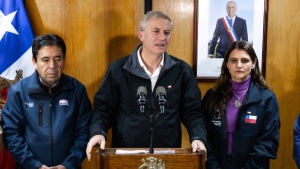Ya son 28: renuncia de seremi de Salud de Magallanes extiende la seguidilla de bajas regionales del Gobierno