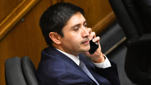 Los motivos tras el recurso de amparo del senador Calisto que busca anular el cierre de la indagatoria
