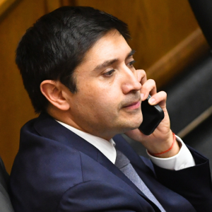 Los motivos tras el recurso de amparo del senador Calisto que busca anular el cierre de la indagatoria